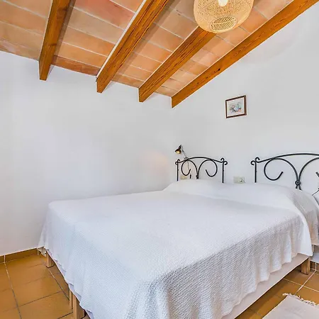 Oli Villa Pollença